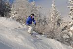 Stowe Mountain Resort 75-60-00106