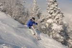 Stowe Mountain Resort 75-60-00107