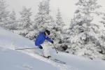 Stowe Mountain Resort 75-60-00112