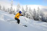 Stowe Mountain Resort 75-60-00116