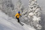 Stowe Mountain Resort 75-60-00119