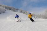 Stowe Mountain Resort 75-60-00122