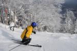 Stowe Mountain Resort 75-60-00123