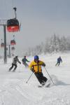 Stowe Mountain Resort 75-60-00127