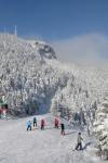 Stowe Mountain Resort 75-60-00129