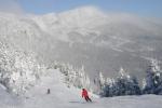 Stowe Mountain Resort 75-60-00130