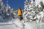 Stowe Mountain Resort 75-60-00132