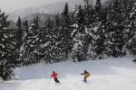 Stowe Mountain Resort 75-60-00176