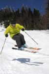 Stowe Mountain Resort 75-60-00215