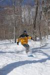 Stowe Mountain Resort 75-60-00236