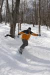 Stowe Mountain Resort 75-60-00252