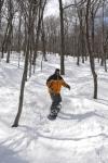 Stowe Mountain Resort 75-60-00253