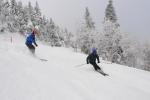 Stowe Mountain Resort 75-60-00259