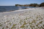 Lake Champlain 53-00-10428