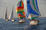 Sports-Sail 75-45-09387