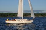 Sports-Sail 75-45-09403