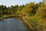 Lake Champlain 53-00-10461