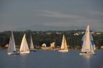 Sports-Sail 75-45-09438