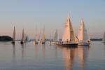 Sports-Sail 75-45-09453