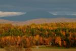 Scenery-Fall 70-05-14571