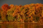 Lake Champlain 53-00-10476