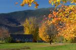 Scenery-Fall 70-05-14576