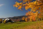 Scenery-Fall 70-05-14577