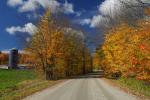 Scenery-Fall 70-05-14582