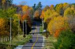 Scenery-Fall 70-05-14590