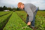 Farm-Garden 30-15-02252