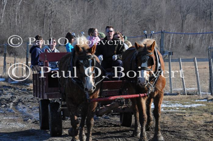 Maple Sugaring 30-20-11992