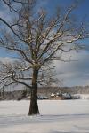 Farm-Shelburne Farms 30-25-02126