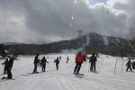 Sports-Ski 75-55-13055