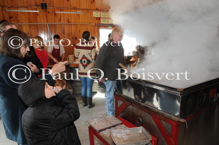 Maple Sugaring 30-20-11994