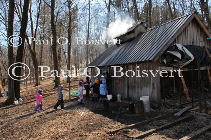 Maple Sugaring 30-20-11999