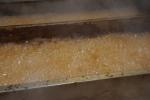 Maple Sugaring 30-20-12003