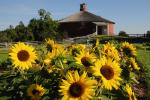 Shelburne Museum 27-60-01021