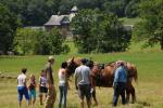 Farm-Shelburne Farms 30-25-02153