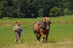 Farm-Shelburne Farms 30-25-02154