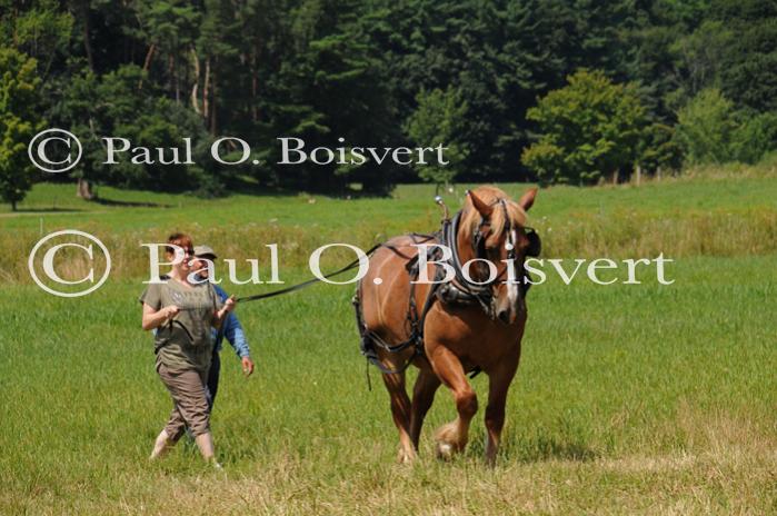 Farm-Shelburne Farms 30-25-02154