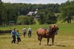 Farm-Shelburne Farms 30-25-02155