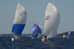 Sports-Sail 75-45-09472