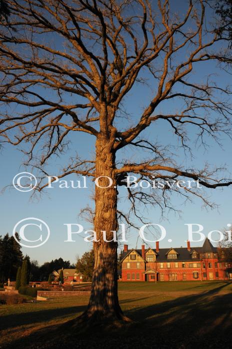 Farm-Shelburne Farms 30-25-02163