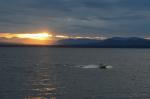 Lake Champlain 53-00-10577