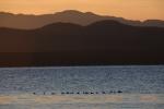 Lake Champlain 53-00-10578