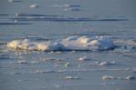 Lake Champlain 53-00-10593