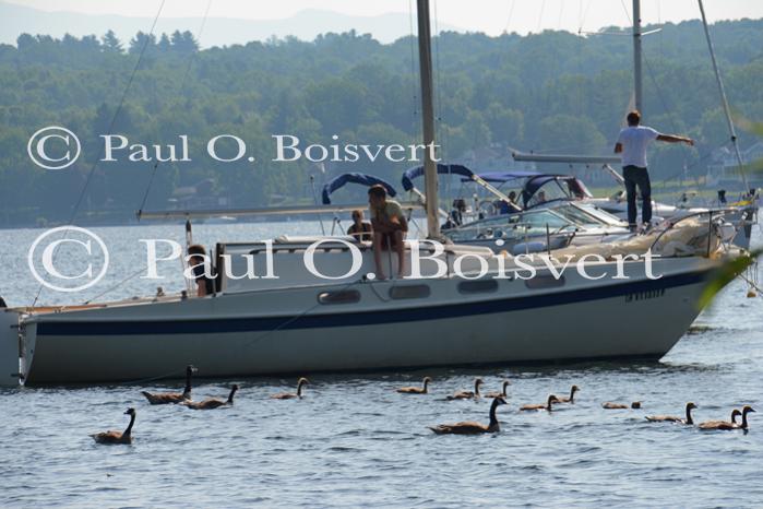 Lake Champlain 53-00-10616