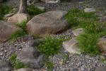 Lake Champlain 53-00-10627