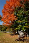 Scenery-Fall 70-05-14636