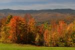 Scenery-Fall 70-05-14639